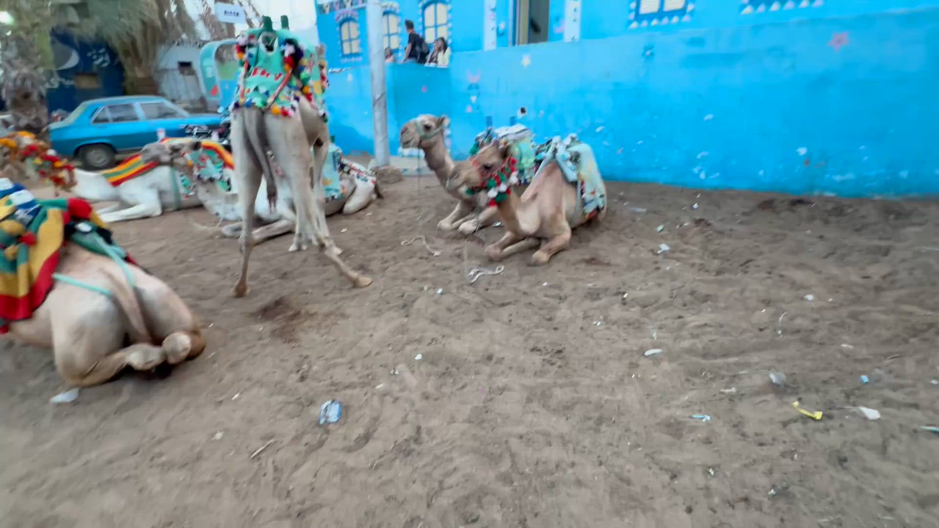Croisière des Pharaons sur le Nil - Visite du Grand GEM - Vols aller-retour inclus customer review video