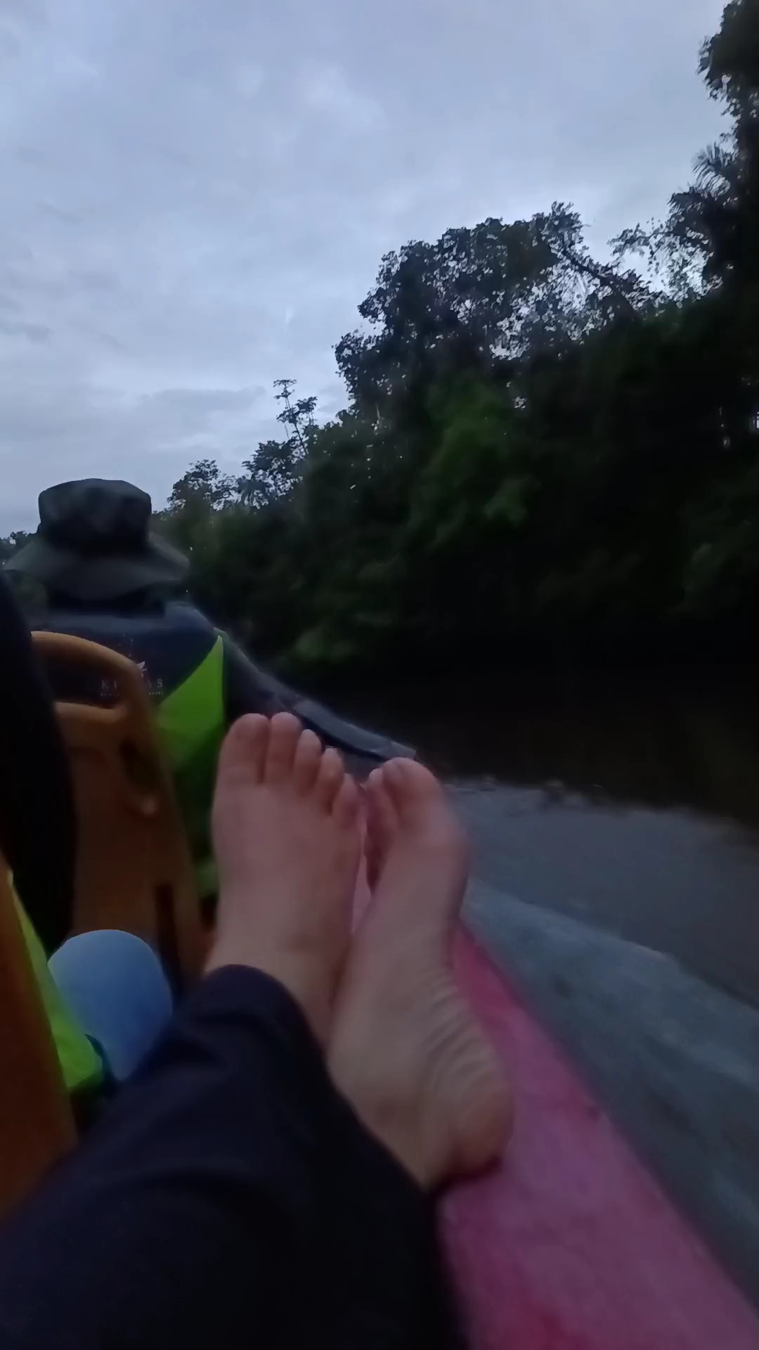 Encuentra el paquete de circuitos adecuado para ti en el Selva tropical. Tenemos 279 viajes por el Selva tropical, a partir de un día de duración y el circuito más largo de 16 días.