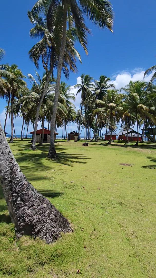 9 jours à travers le Panama : Culture, montagne et paradis caribéen customer review video