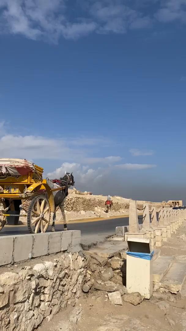 Could you picture yourself cruising the Nile Valley past ancient temples, discovering Luxor's tombs and exploring Cairo's pyramids? These trips take you through literally thousands of years of history along Egypt's lifeline. You'll visit Karnak, Valley of the Kings, Abu Simbel - landscapes and monuments that've been fascinating travelers forever.