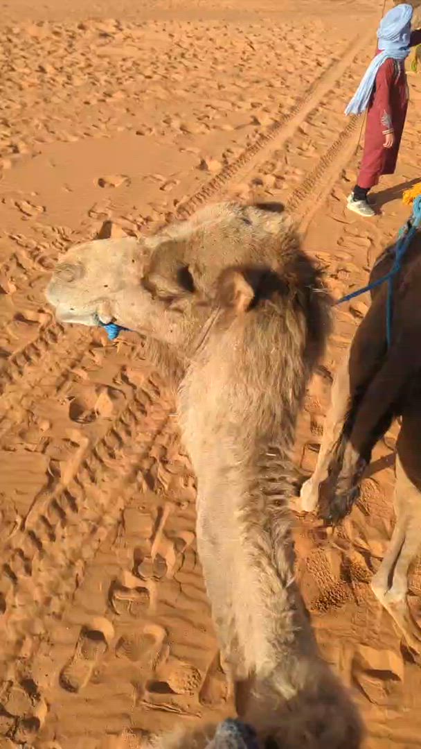 3 Tage Wüstengruppenreise von Marrakesch zum Merzouga Wüstencamp customer review video