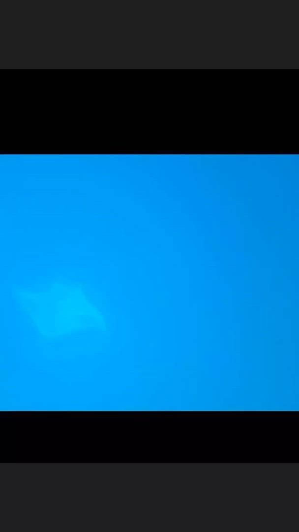 7N Maldives Sud Malé Local Island Hopping customer review video