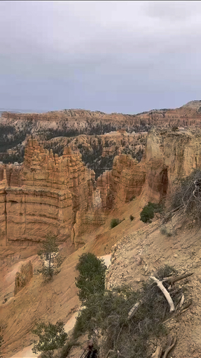 Have you ever wanted to stand at the Grand Canyon's rim as colors shift with the setting sun, or explore Monument Valley's towering red mesas? Head to Southwestern USA and take in  Zion's dramatic canyons, Bryce's otherworldly hoodoos, Antelope Canyon's light beams, and Arches' natural stone sculptures. America's Southwest is ready.
