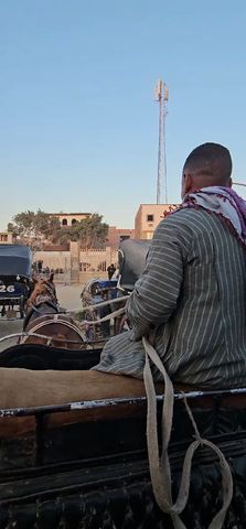 Circuito Egipto dorado: 14 días de lujo (El Cairo GEM & Alejandría & Desierto Blanco & Crucero por el Nilo & Hurghada)