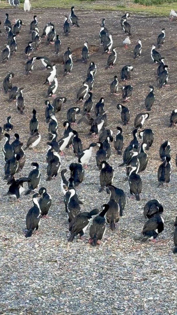 Trouvez votre circuit idéal en Amérique latine. Nous avons 4338 aventures à vous proposer en Amérique latine entre une journée et 136 jours. Le mois le plus apprécié pour s'y rendre est octobre, c'est-à-dire le mois qui compte le plus grand nombre de départs.