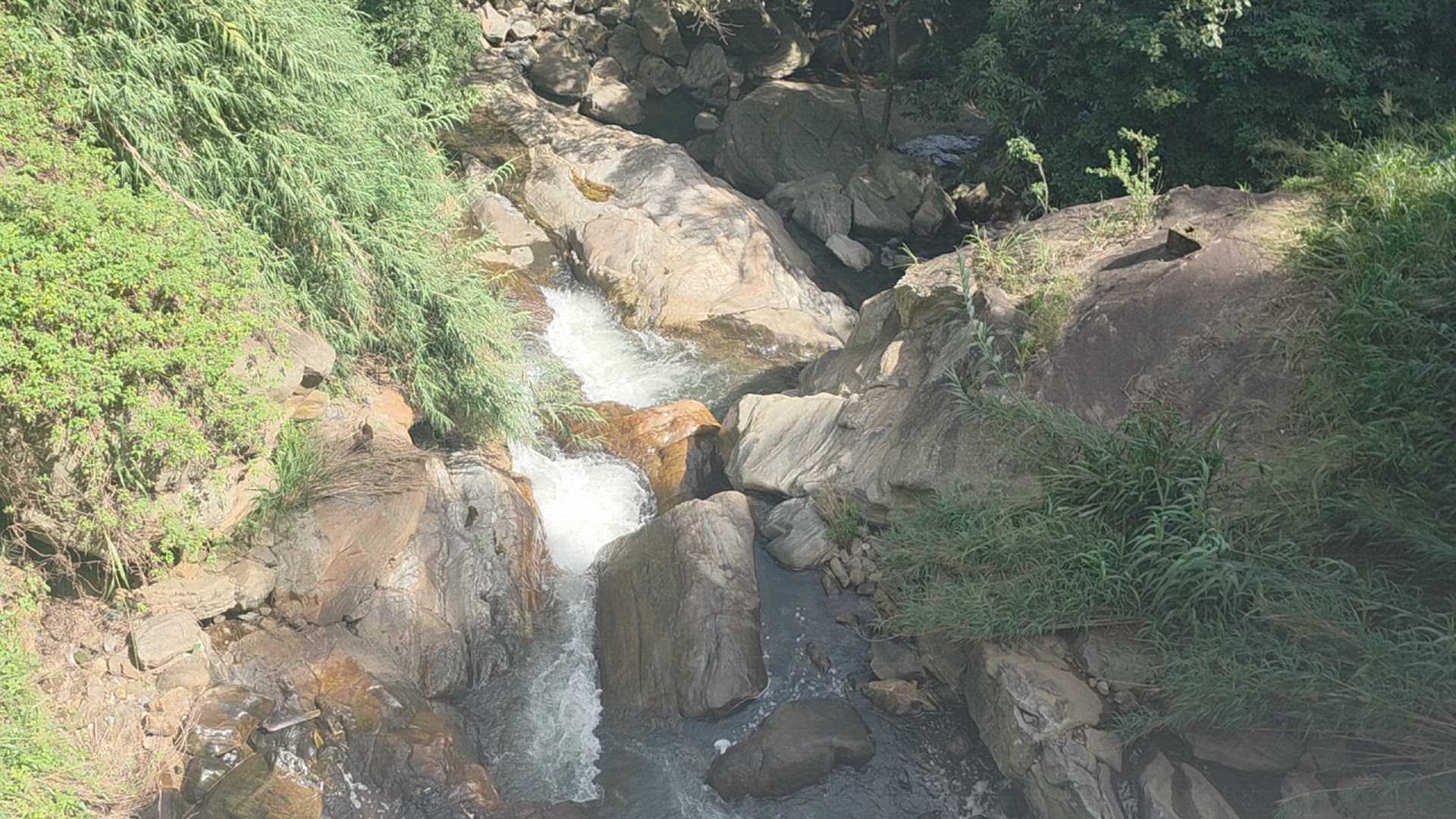 Chemin de rêve du Sri Lanka customer review video