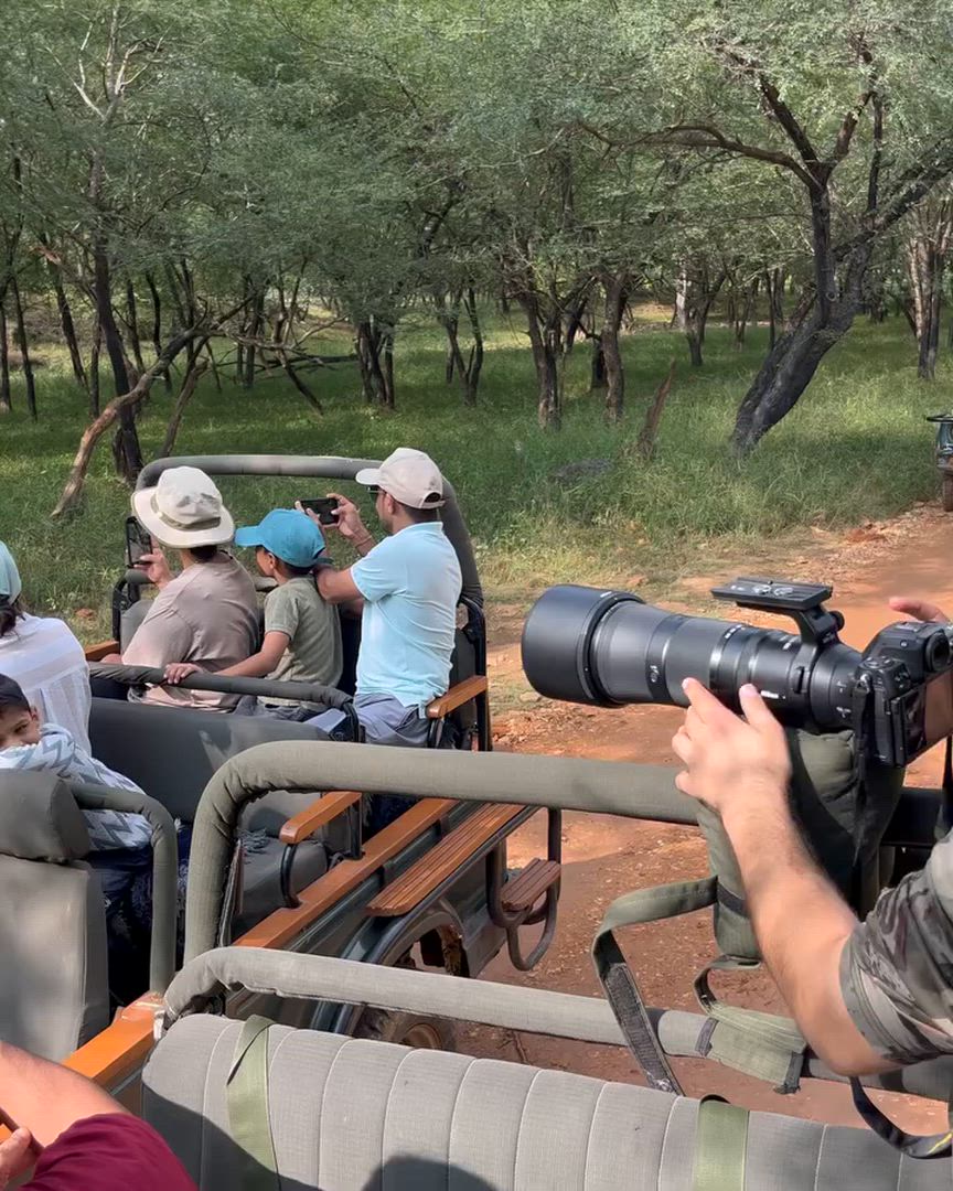 Le Triangle d'or de l'Inde : Une aventure de 7 jours depuis l'aéroport de Delhi vers Agra, Ranthambore et Jaipur customer review video