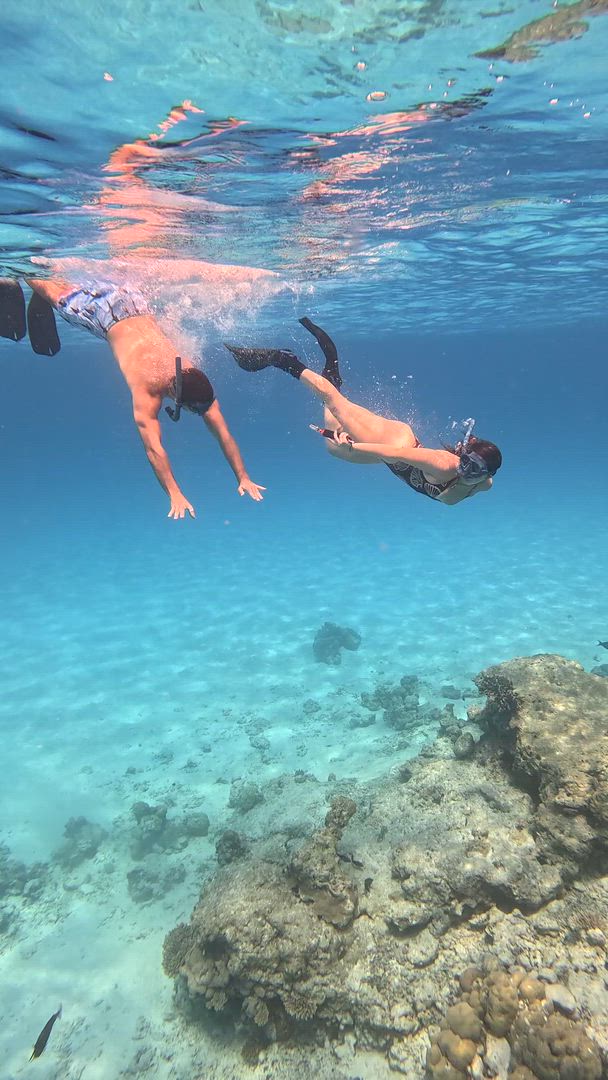 Vídeo de reseña del cliente sobre ¡Excursión en grupo a las Maldivas! Tiburones ballena, mantarrayas, naufragio y visita a un complejo turístico
