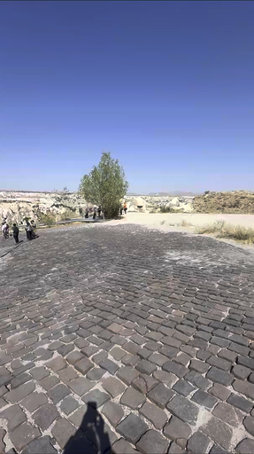 Picture exploring Istanbul's vibrant streets, cruising the Bosphorus, and tasting street food. Amazing, right? Take a pitstop before heading to Cappadocia's fairy chimneys and valleys, visiting Goreme's rock-carved churches, hiking the Red Valley, and witnessing Whirling Dervishes in a cave lodge. You can float over Cappadocia in a hot-air balloon too. It’s fairytale stuff.