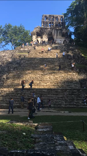 Trouvez votre aventure idéale au Guatemala et Mexique. Nous avons 52 à vous proposer aux Guatemala et Mexique durant entre 7 et 51 jours.
