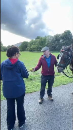 Vom berühmten Guiness Bier über abgelegene Schlösser, wie dem Blarney Castle, bis hin zur wilden <a href="/de/v/region-irland-wild-atlantic-way">Atlantik Küste</a> - ein Abenteuer in Irland ist einfach magisch. Besuchen Sie die charmante irische Metropole Dublin, bestaunen Sie eindrucksvolle Aussichten über die Cliffs of Moher oder den Killarney Nationalpark bei einer Wanderung. Reisen Sie zu den Inseln von Great Skellig oder lauschen Sie bei einem Besuch des Giant’s Causeway den Mythen und Legenden über die grüne Insel.