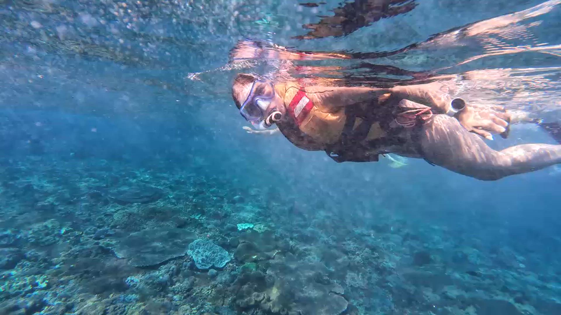 Indonesië biedt reizigers met zijn ruim 17.000 eilanden een veelvoud aan tropische regenwouden, prachtige stranden en rijke cultuur om te verkennen. Ga eilandhoppen, kajakken, beoefen yoga in het pittoreske Ubud, bezoek <a href="/nl/v/eilanden-borneo">Borneo</a>, of beleef een magisch trekkingsavontuur op de Rinjani-berg. Bezoek het eiland Rinka om de indrukwekkende komodovaranen van dichtbij te zien, en ontspan op de witte stranden van <a href="/nl/v/eilanden-bali">Bali</a>.