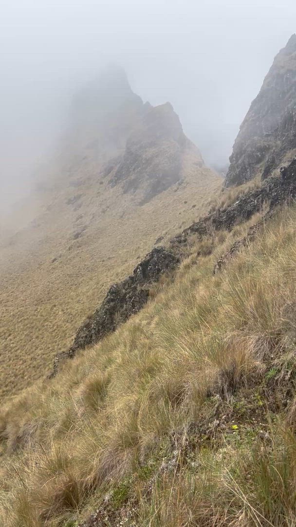 Vídeo de reseña del cliente sobre Del Amazonas a los Andes