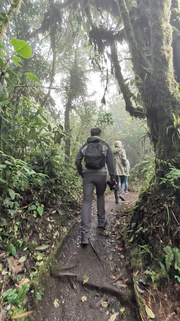 Quête de la Costa Rica customer review video