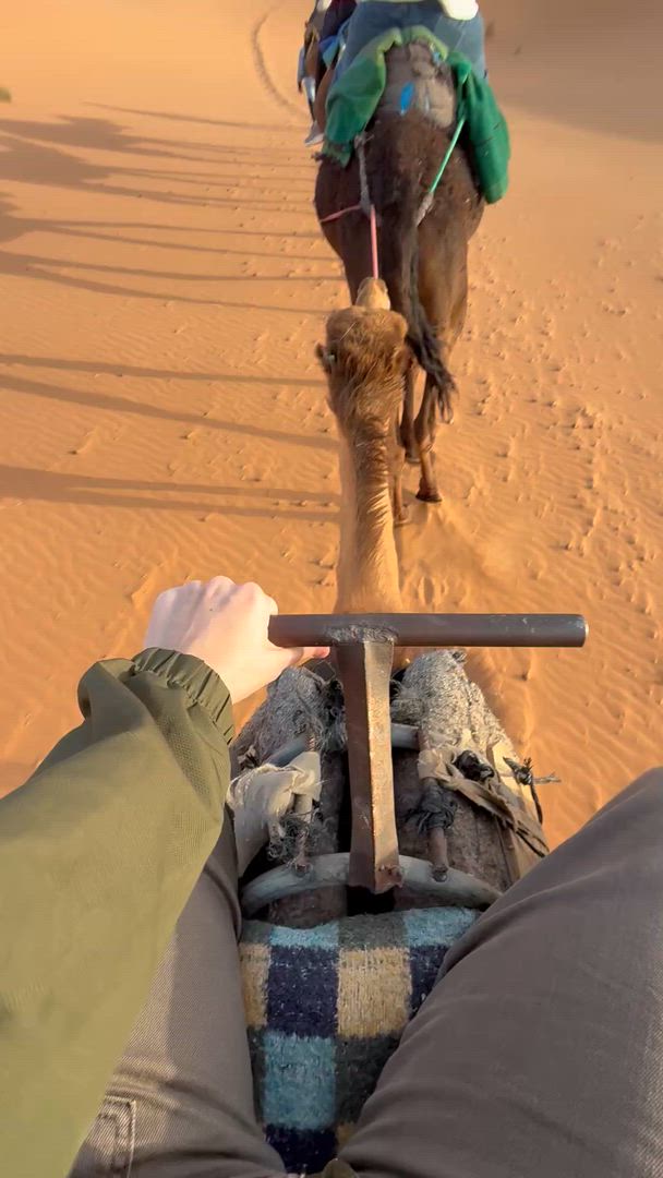 Morocco Kasbahs &amp; Desert customer review video