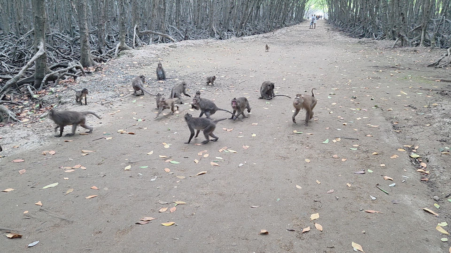 Le meilleur du Vietnam en 14 jours customer review video