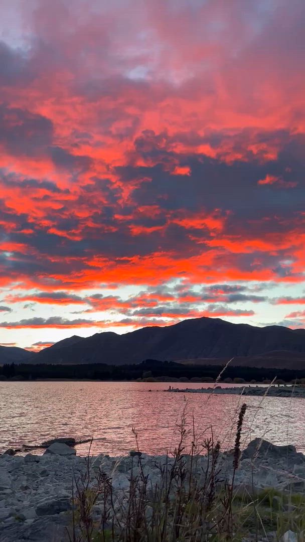 Vídeo de reseña del cliente sobre Introducción NZ 17 días