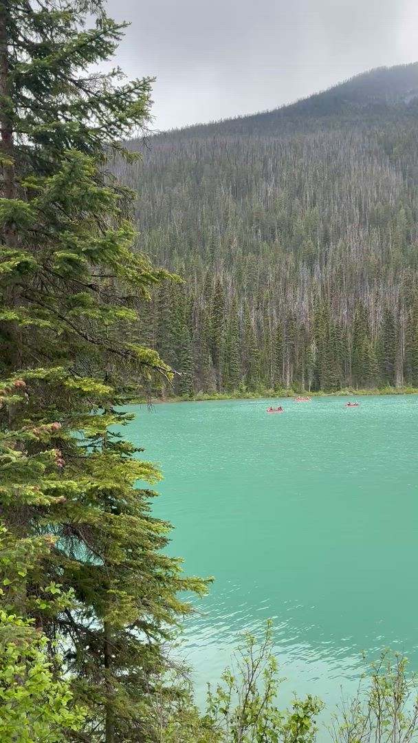 Explorez les Rocheuses canadiennes en 5 jours : Circuit des parcs nationaux de Banff, Jasper et Yoho customer review video