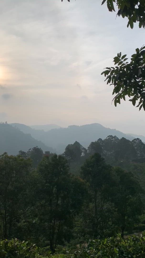 video met klantbeoordeling van Exclusieve rondreis door Sri Lanka