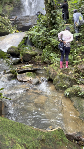Trouvez votre circuit idéal dans la région Forêt amazonienne. Nous avons 227 aventures à vous proposer dans la région Forêt amazonienne. Le mois le plus apprécié pour s'y rendre est Juillet, c'est-à-dire le mois qui compte le plus grand nombre de départs.