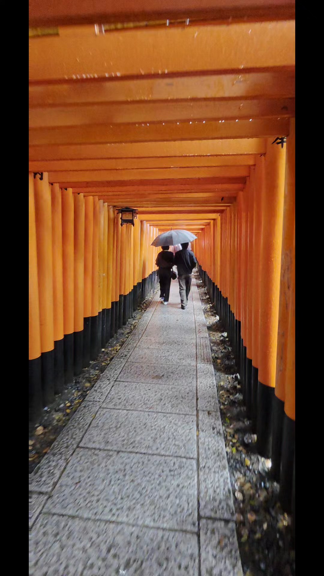 Südjapan erleben! Lassen Sie sich von 1.544 Erfahrungsberichten inspirieren und wählen Sie aus über 219 Rundreisen.