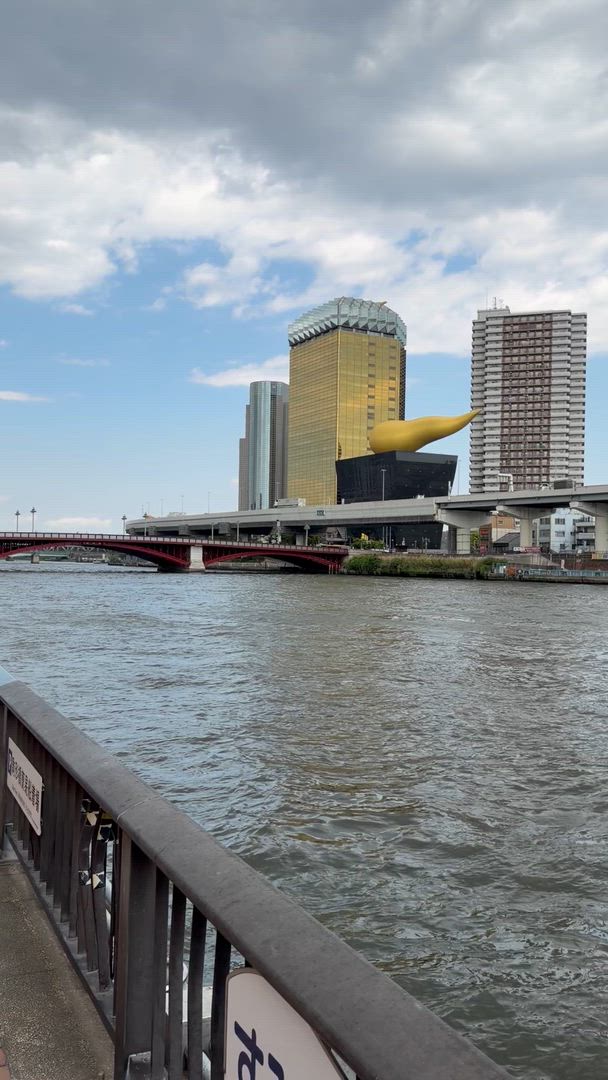 Japan Highlights mit One Life Adventures 9 Tage Kundenbewertungsvideo