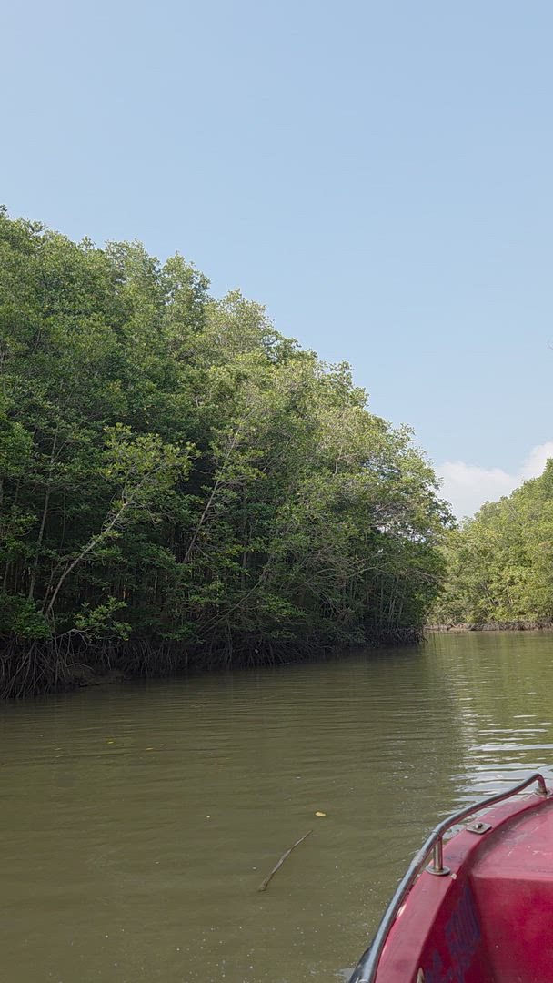 Le meilleur du Vietnam en 14 jours customer review video