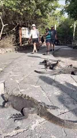 Galapagos Express: Inselhüpfen &amp; Tierwelt in 6 Tagen Rundreise