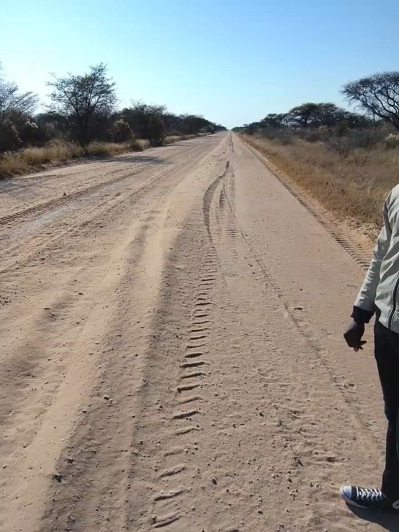 Finden Sie die perfekte Reise für Ihre Familie, geeignet für alle Altersgruppen, mit über 244 Rundreisen in Namibia.