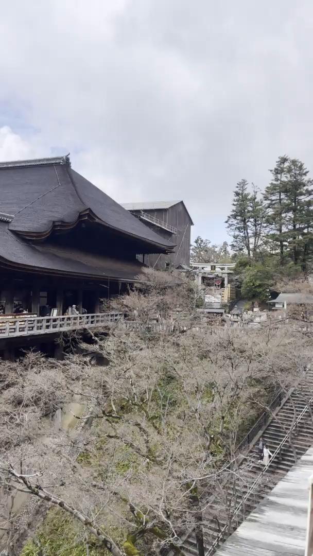 Trouvez votre circuit idéal au Japon. Nous avons 689 aventures à vous proposer au Japon entre 2 et 90 jours.