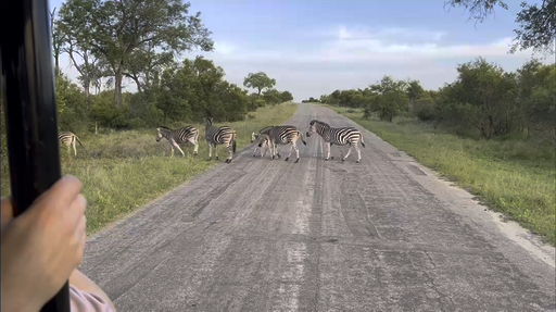 Erleben Sie Johannesburg. Lesen Sie 222 Erfahrungsberichte und wählen Sie aus über 149 Rundreisen.