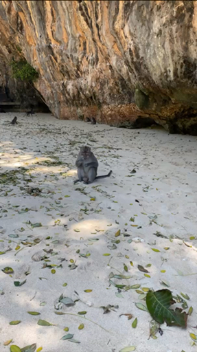 Trouvez le circuit idéal pour votre famille, adapté à tous les âges avec plus de 394 circuits familiaux disponibles dans la région Indonésie.