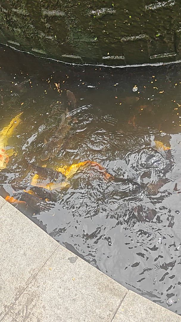 Vídeo de reseña del cliente sobre Bali Intro 12 días