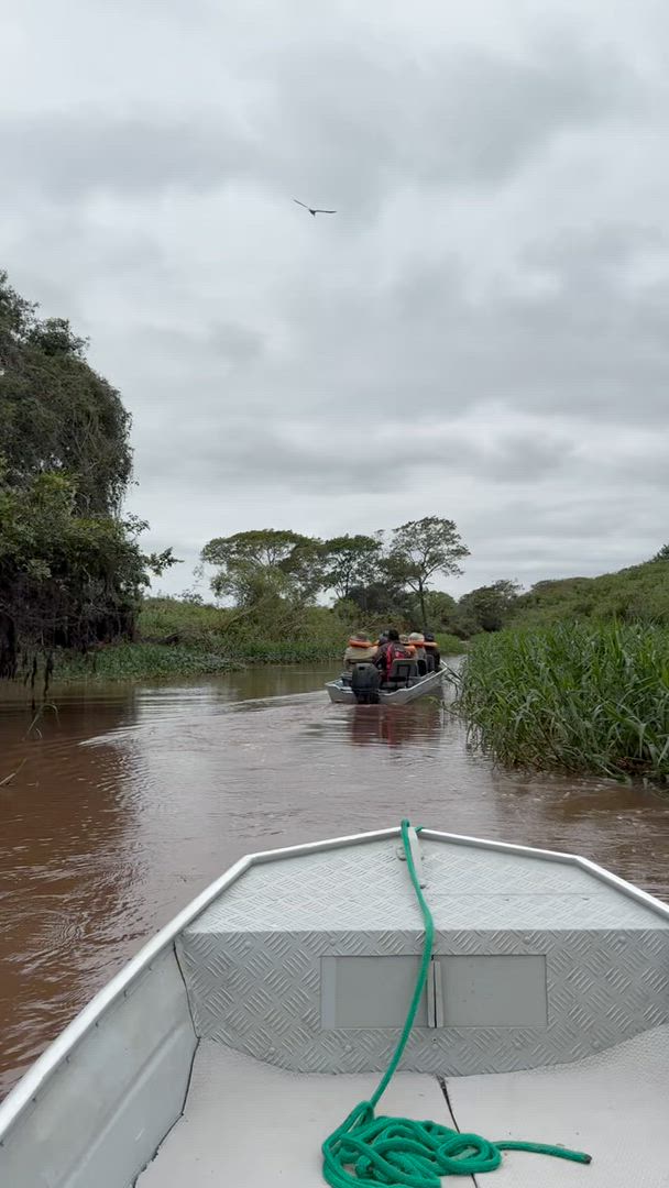 Pantanal avec observation de JAGUAR - de mi-mai à novembre customer review video