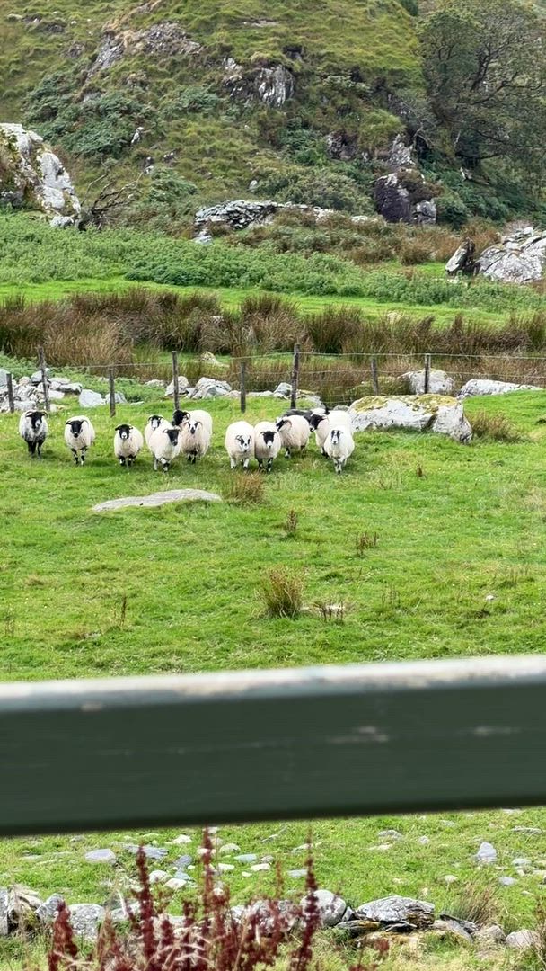 Trouvez votre aventure idéale au Angleterre, Irlande et Écosse. Nous avons 143 à vous proposer aux Angleterre, Irlande et Écosse durant entre 7 et 24 jours.