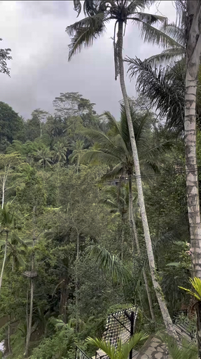 Encuentra el circuito adecuado para ti en Indonesia. Tenemos 457 aventuras en Indonesia, empezando desde un día de duración, y el circuito más largo de 32 días.