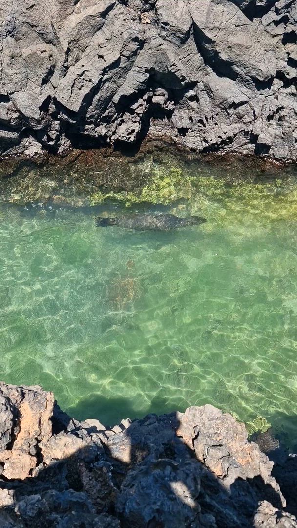 Circuit en petit groupe au cœur des Galápagos - 10 jours customer review video