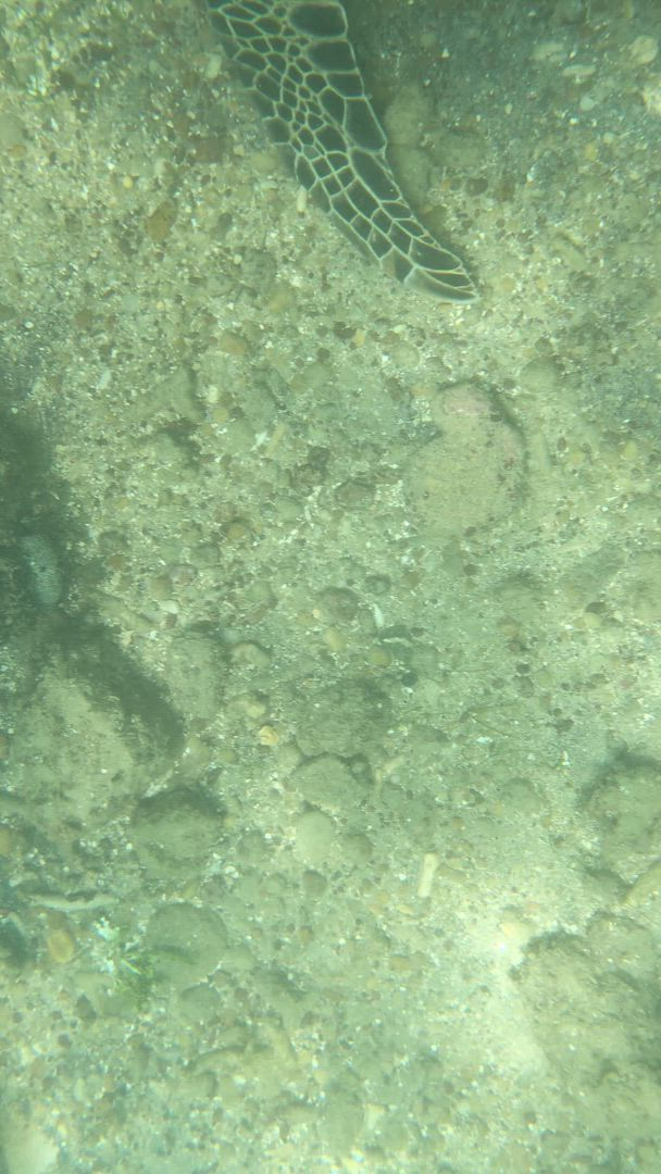 video met klantbeoordeling van 6-daagse rondreis in Sri Lanka - Upgrade naar privérondreis beschikbaar