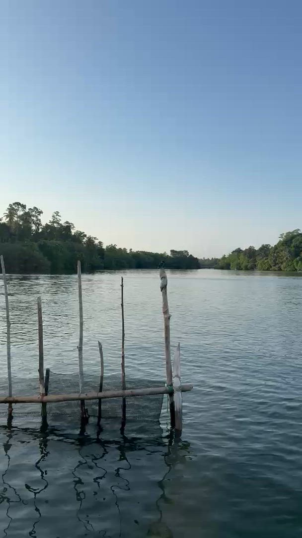 Vídeo de reseña del cliente sobre Senderos Intemporales: Desvelando la rica historia de Sri Lanka