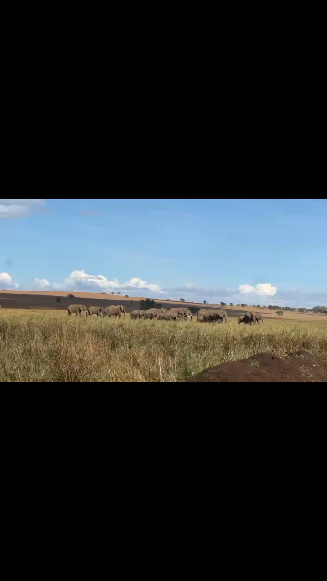 Trouvez votre circuit idéal en Afrique. Nous avons 10984 aventures à vous proposer en Afrique entre une journée et 269 jours. Le mois le plus apprécié pour s'y rendre est octobre, c'est-à-dire le mois qui compte le plus grand nombre de départs.