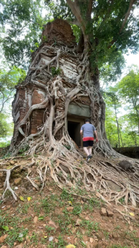 Are you ready to learn about the interesting culture and history of Cambodia? Visit the peaceful countryside of Kampot, where pepper farms thrive. Relax on tropical islands and beautiful beaches where palm trees sway over soft sand. Visit Angkor Wat, an ancient temple complex that is so beautiful that words can't describe it. Spend time in the capital, Phnom Penh.  You have to see it to believe it.
