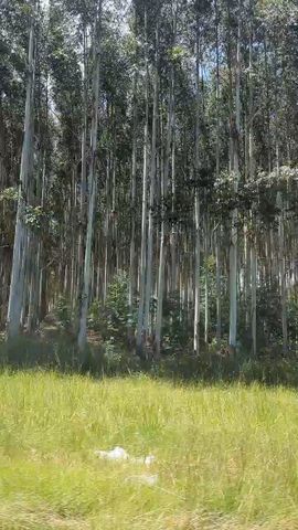 Circuito Safari de 4 días por el Parque Nacional Kruger con los 5 grandes y ruta panorámica