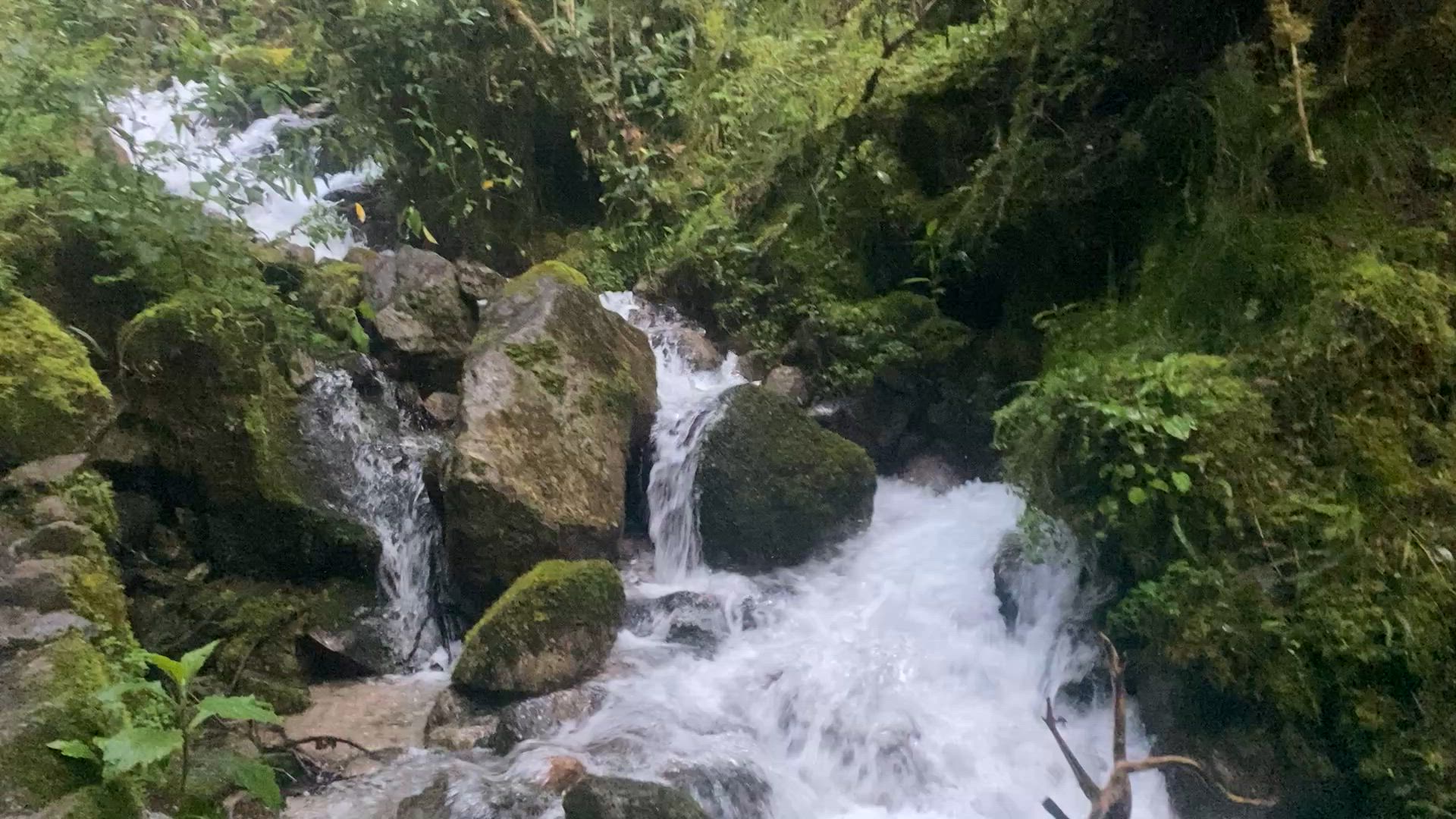 Inkapfad Trek Rndreise 4T/3N nach Machu Picchu (Gruppenreise) Kundenbewertungsvideo