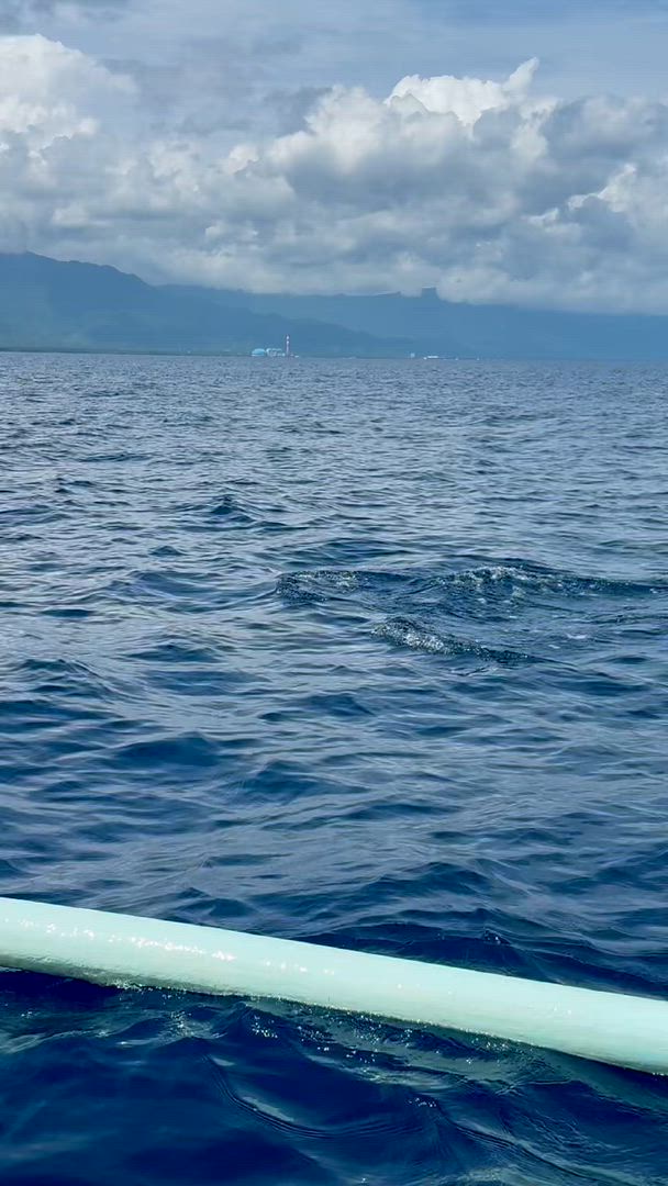 Vídeo de reseña del cliente sobre Bali Intro 12 días