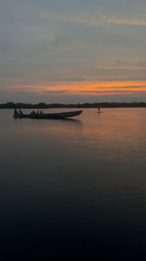 Vind de juiste reis voor jou naar Amazonegebied Ecuador. We hebben 54 reizen die naar Amazonegebied Ecuador gaan, de kortste is 3 dagen lang, en de langste is 15 dagen.