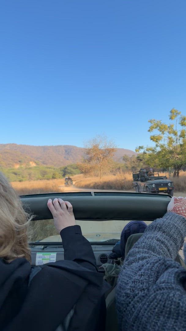 North India Classic 12 Day - One Life Adventures customer review video