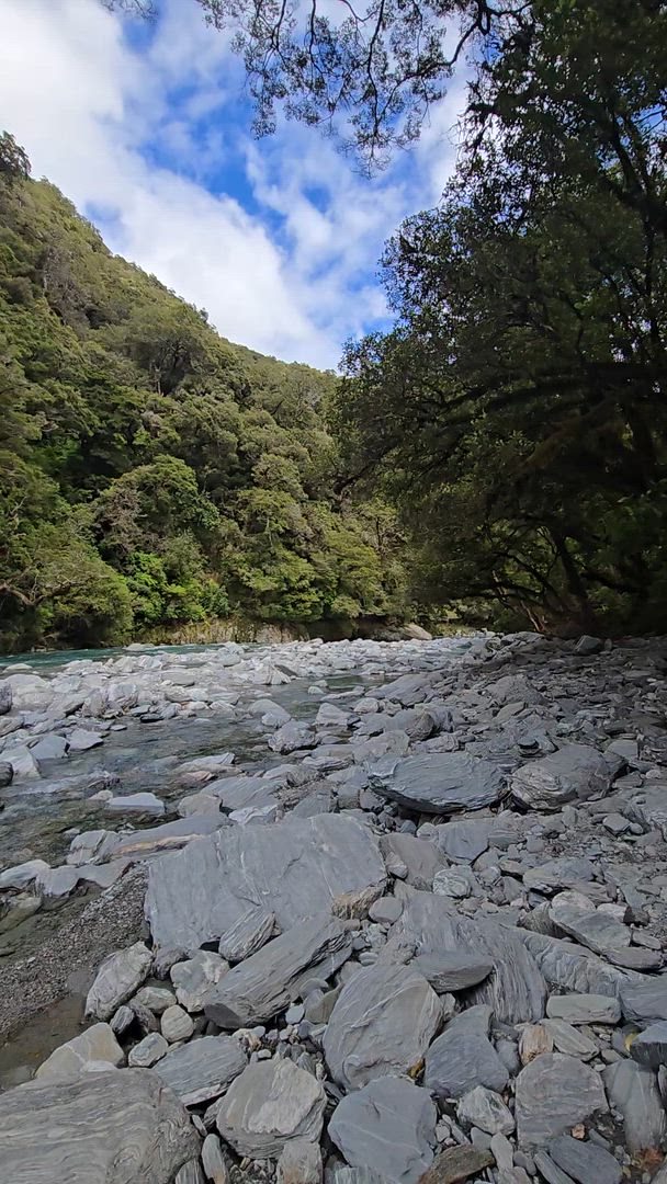 Les points forts de la Nouvelle- Zélande customer review video