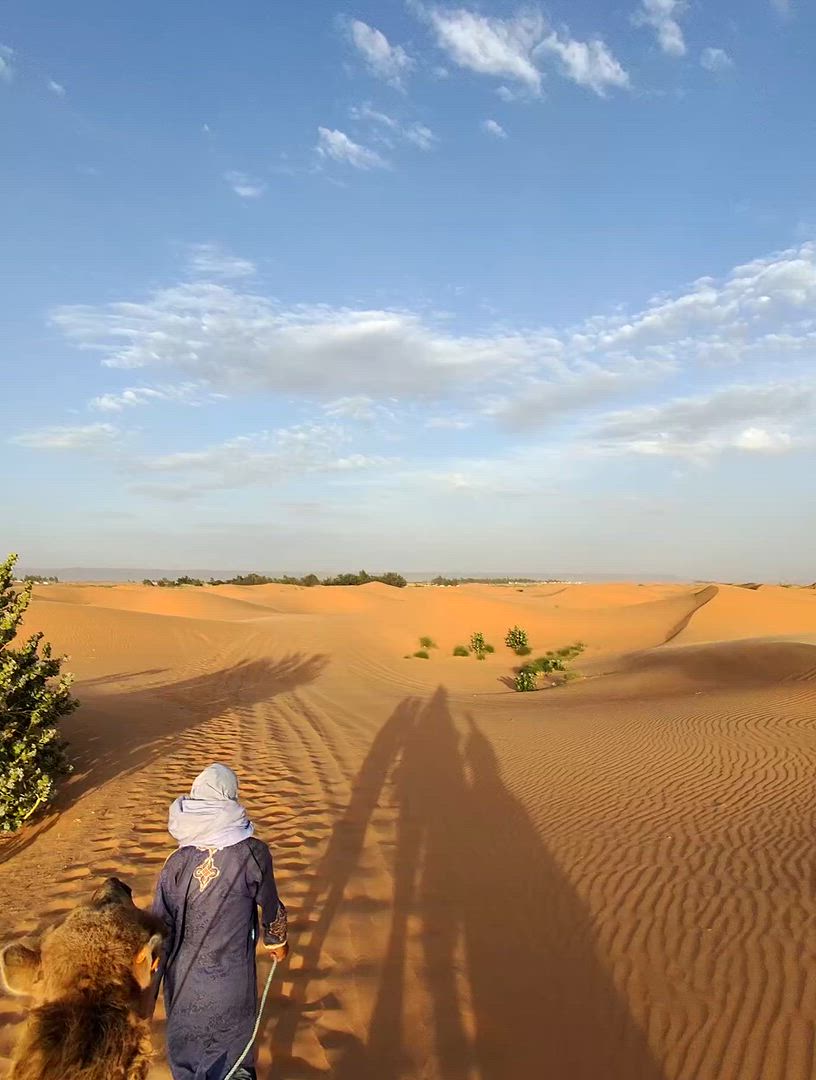 TourRadar a réuni les meilleurs Afrique treks et randonnées. Nous vous proposons 788 aventures dans 25 pays différents. Ces circuits durent entre une journée et 52 jours.