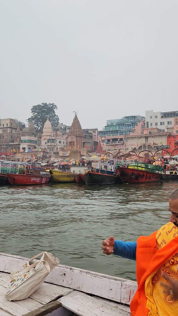 Group/Private Golden Triangle with Varanasi With Luxury 4 Star Hotels customer review video