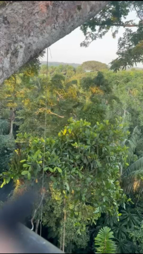 Amazonas erleben! Lassen Sie sich von 655 Erfahrungsberichten inspirieren und wählen Sie aus über 225 Rundreisen.